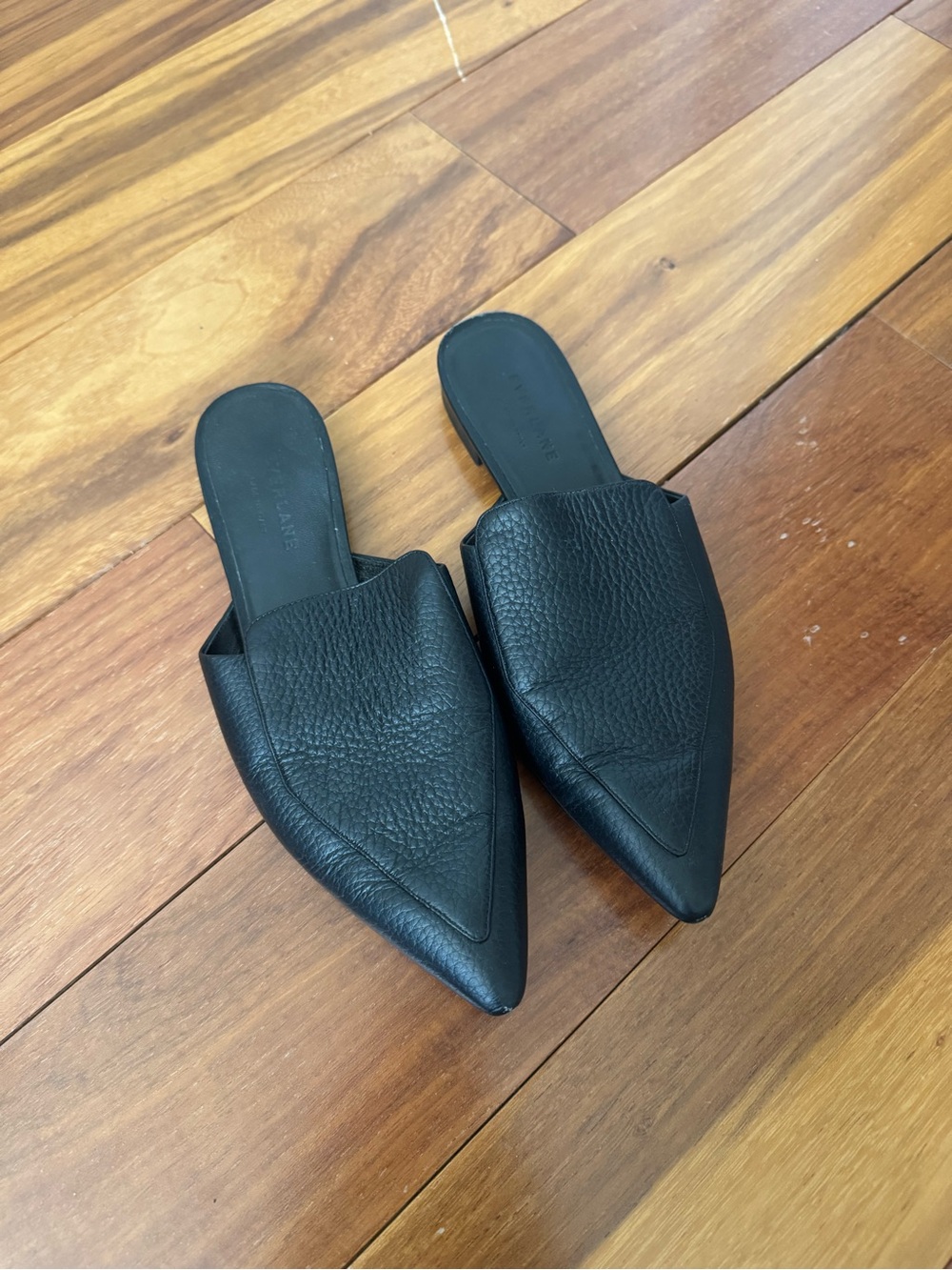 Everlane Black Pointed Leather Mules